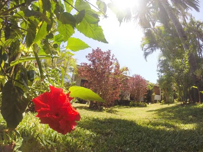 Maison d’hôte pour 2 personnes, avec jardin ainsi que piscine et vue à La Saline les Bains - 2