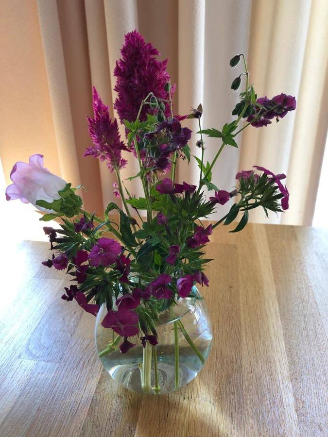 Chambre d’hôte pour 2 personnes, avec vue et jardin dans Frise - 3