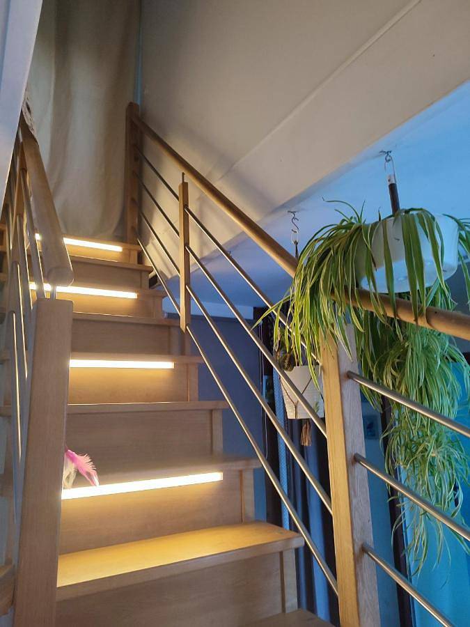 Maison d’hôte pour 3 personnes, avec jardin ainsi que terrasse et jacuzzi dans Parc naturel régional de Brière - 4