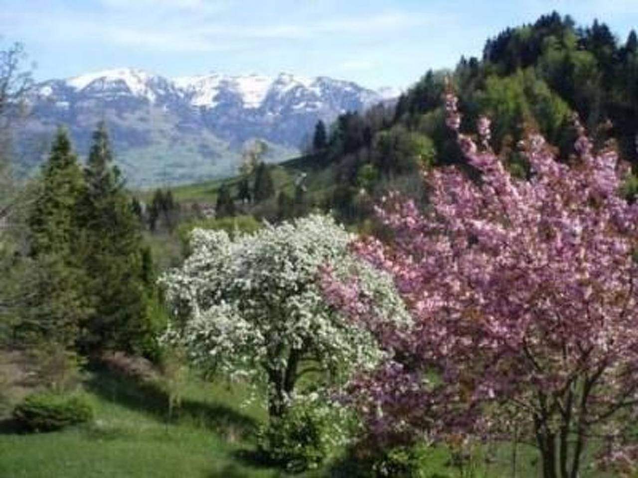 Haus Scherrer "Schön-Biel" in Lake Lucerne