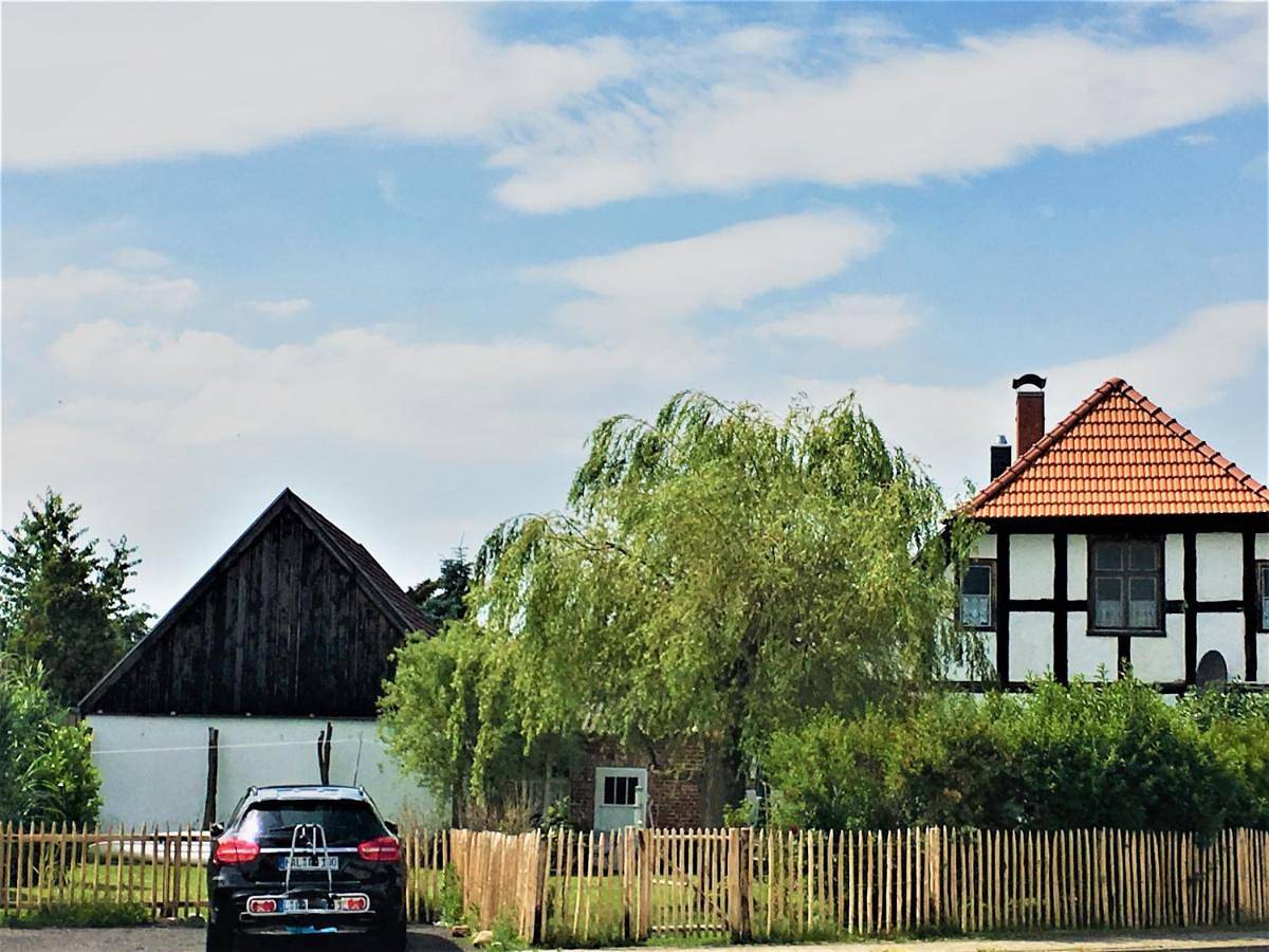 Ganze Wohnung, One-Bedroom Apartment with Garden View in Altwarp, Vorpommern Greifswald