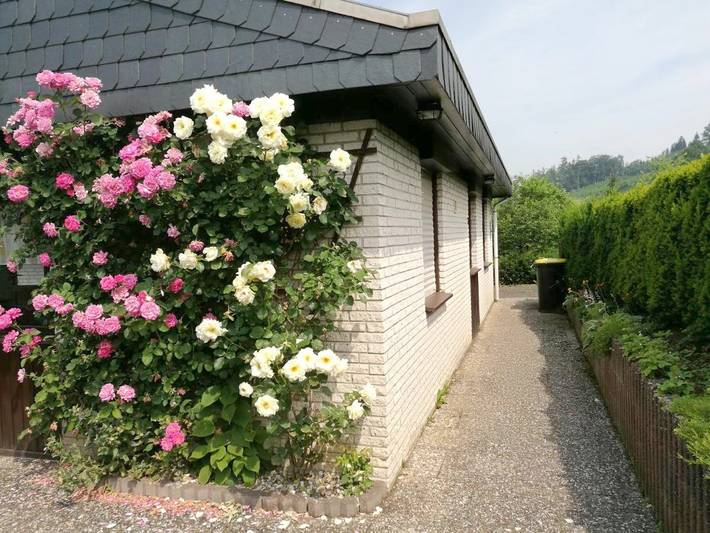 Ferienhaus für 5 Personen, mit Terrasse und Garten sowie Seeblick und Ausblick in Meschede - 3