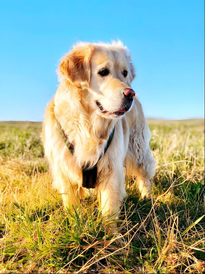 Ferienwohnung für 2 Personen, mit Seeblick und Sauna in Mönchgut-Granitz - 2