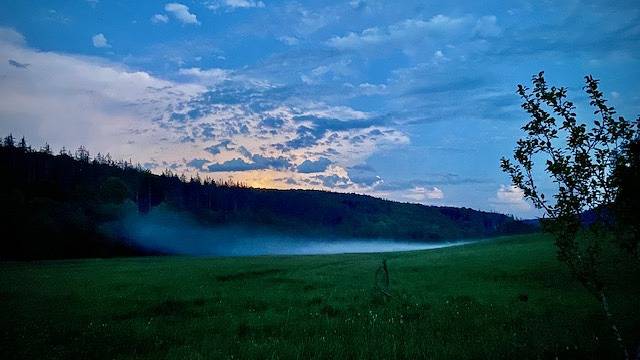 Ferienwohnung für 2 Personen, mit Garten, mit Haustier im Nahetal - 2