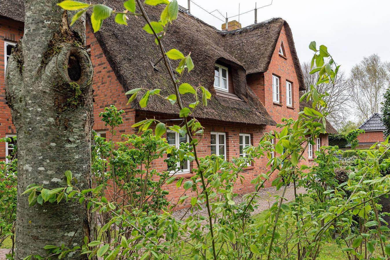 Ganze Ferienwohnung, Strandflieder Alkersum in Alkersum, Föhr