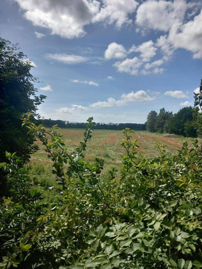 Tente pour 2 personnes, avec jardin et vue dans Hauts-de-France - 2