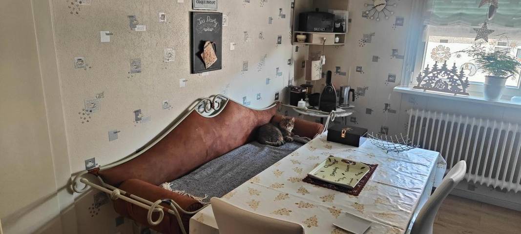 Gîte pour 4 personnes, avec jardin et vue à Hœnheim - 4