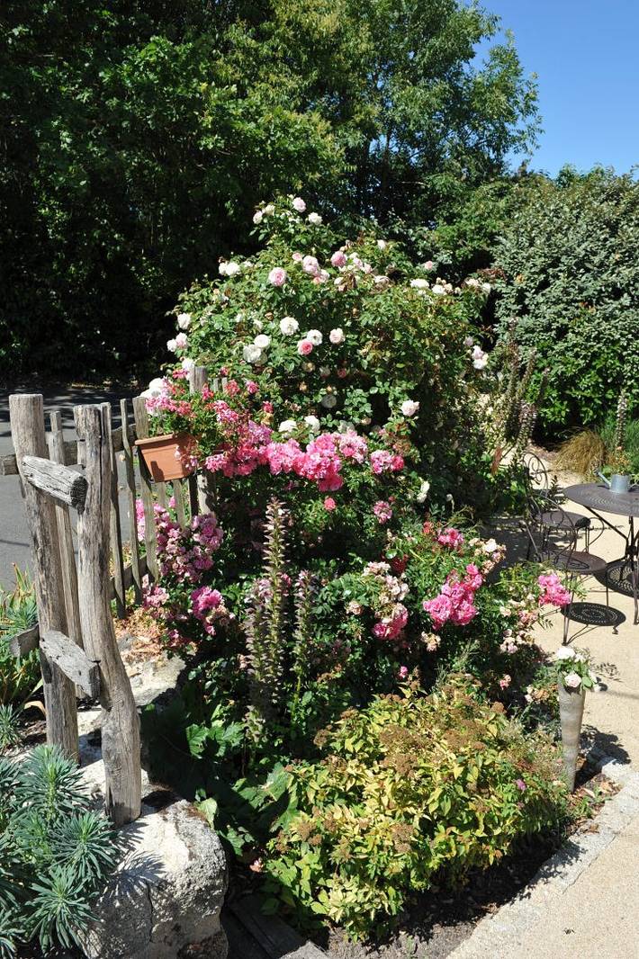 Gîte pour 6 personnes, avec jardin à Saint-Malô-du-Bois - 3