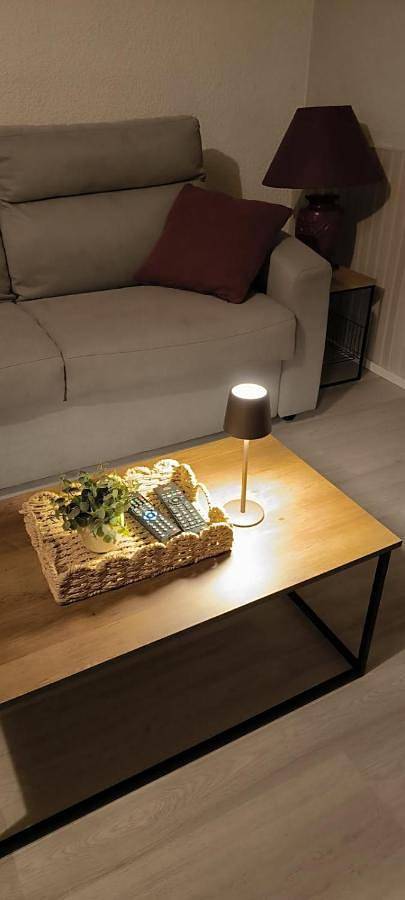 Location de vacances pour 4 personnes, avec vue et terrasse, animaux acceptés à Chauvigny - 3