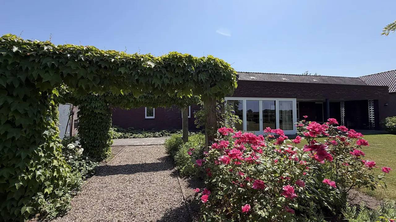 Ferienhaus für 12 Personen (393 m²) in Nederweert, Nationalpark De Groote Peel