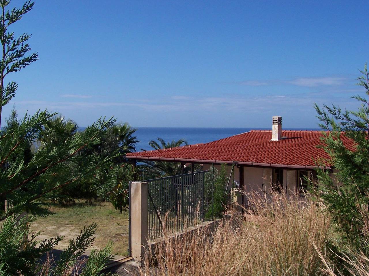 Vanessa in Santa Maria (Vibo Valentia), Vibo Valentia Provinz