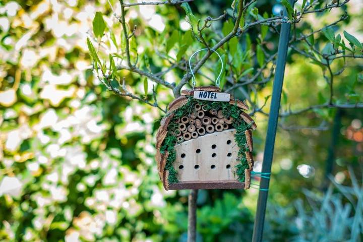 Ferienwohnung für 3 Personen, mit Ausblick und Garten, mit Haustier in Wuppertal - 4