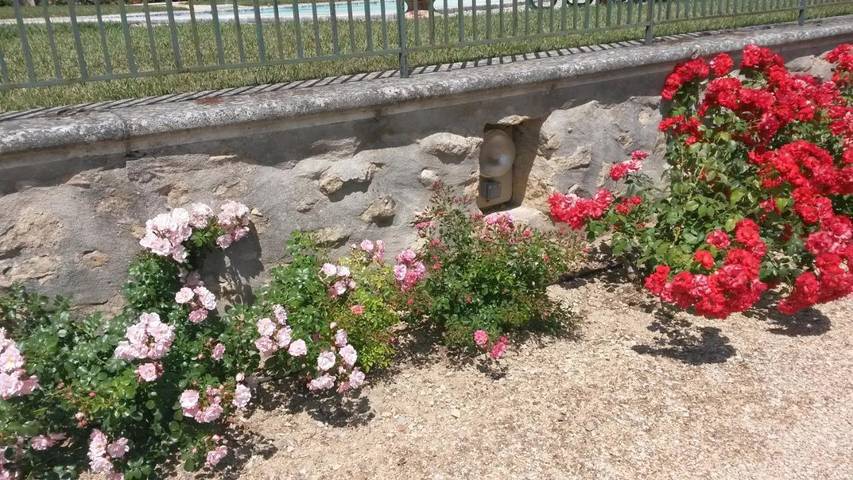 Chambre d’hôte pour 3 personnes, avec jardin, animaux acceptés à Cabriès - 3