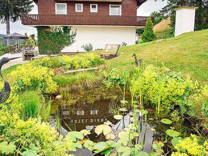Hotel für 4 Personen, mit Sauna und Pool, kinderfreundlich in Feldberg - 2