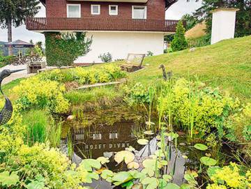 Hotel für 4 Personen in Feldberg, Hochschwarzwald, Bild 1