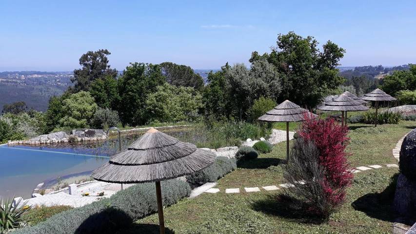 Alojamiento y desayuno para 2 personas, con Balcón y Terraza además de Jardín y Piscina en Espadanal - 3