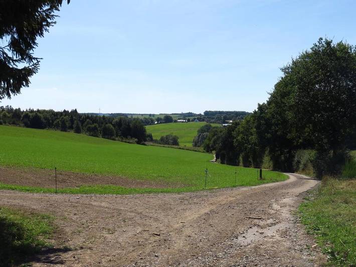 Chambre d’hôte pour 12 personnes, avec jardin ainsi que vue et sauna, animaux acceptés dans Ardennes (Belgique) - 4