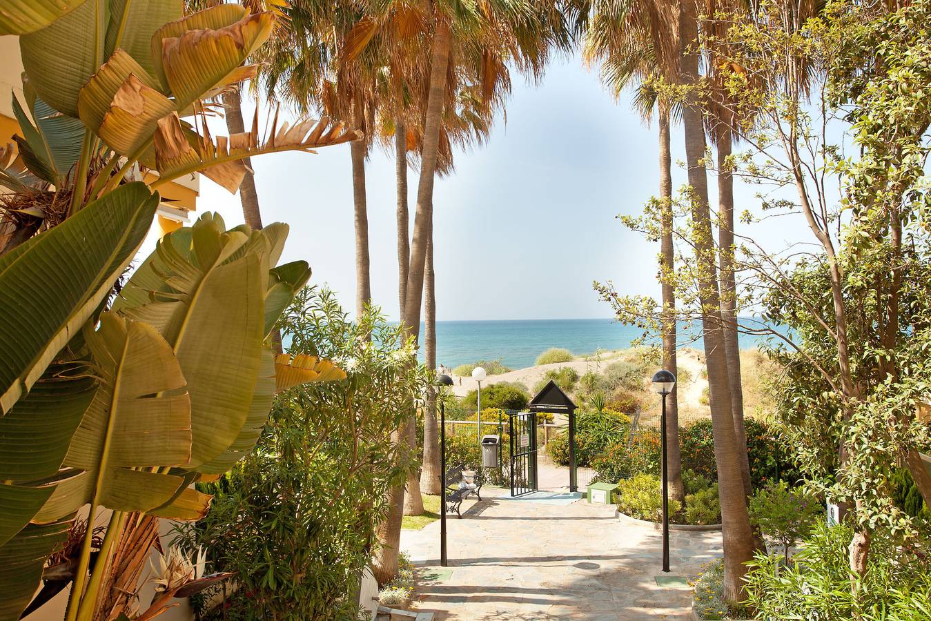 Romana Playa 902, foto 13