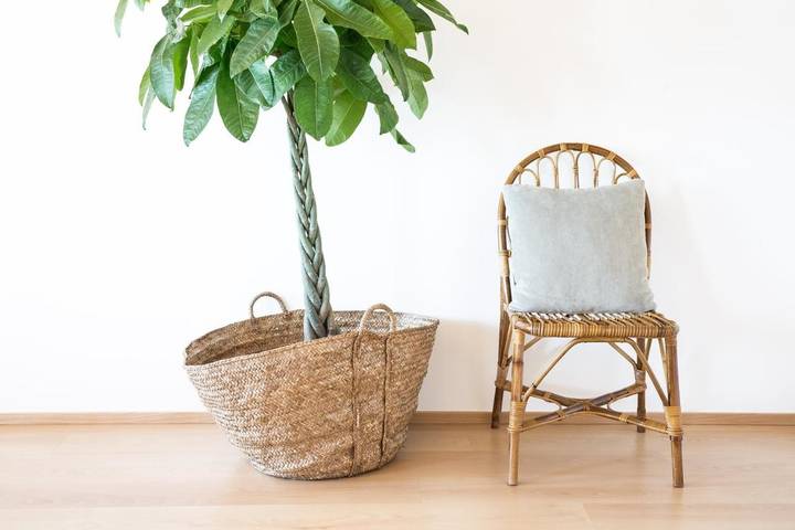 Gîte pour 4 personnes, avec terrasse dans Costa Nova - 3