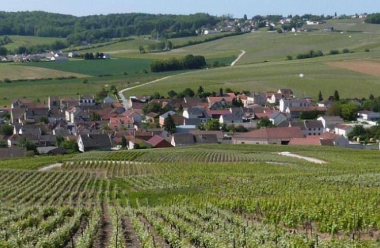 Appartement entier, La Longère de Vin'Ay in Vinay, Marne