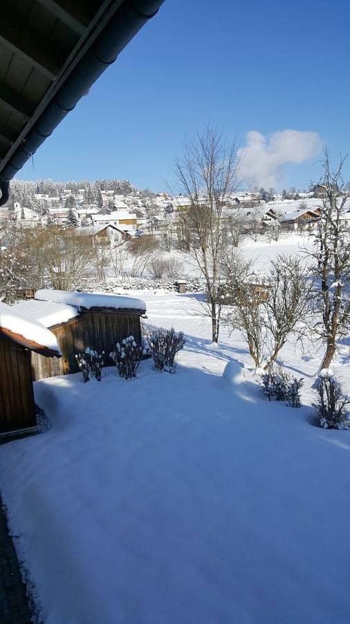 Gästehaus Steininger - Einzimmerstudio ohne Balkon, Raumhöhe nur 2 m, kostenfreies Wlan in Zwiesel, Šumava Mountains