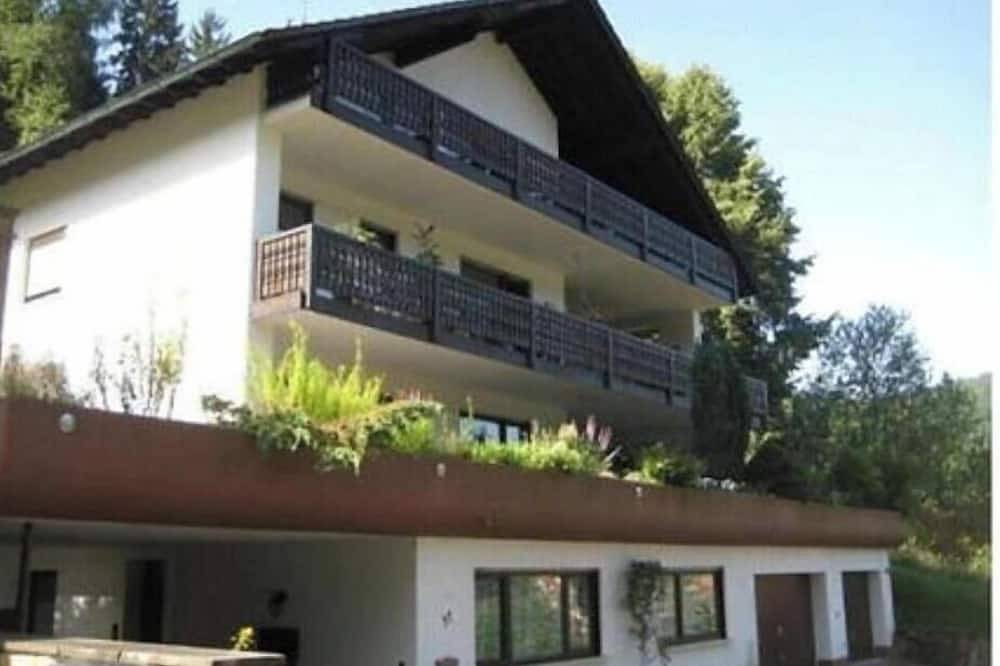 Ganze Wohnung, Gemütliche Ferienwohnung mit Burgblick und großer Terrasse in Elmstein in Elmstein, Saar-Nahe-Bergland