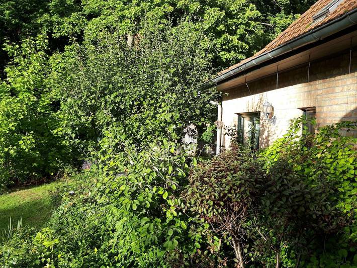 Hütte für 4 Personen, mit Terrasse und Garten, kinderfreundlich in Mecklenburgische Seenplatte - 3