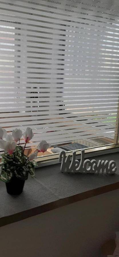 Ferienwohnung für 8 Personen, mit Ausblick und Garten in Beelitz - 4