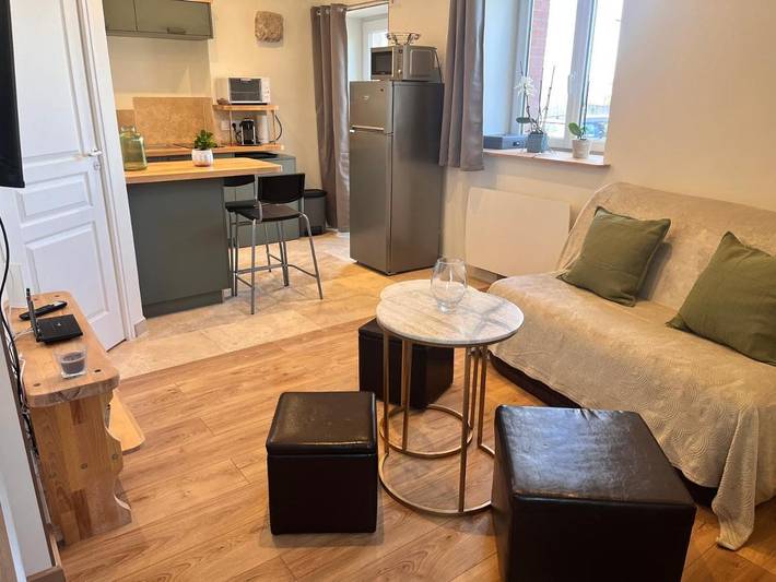 Gîte pour 4 personnes, avec terrasse, animaux acceptés à Vineuil - 4