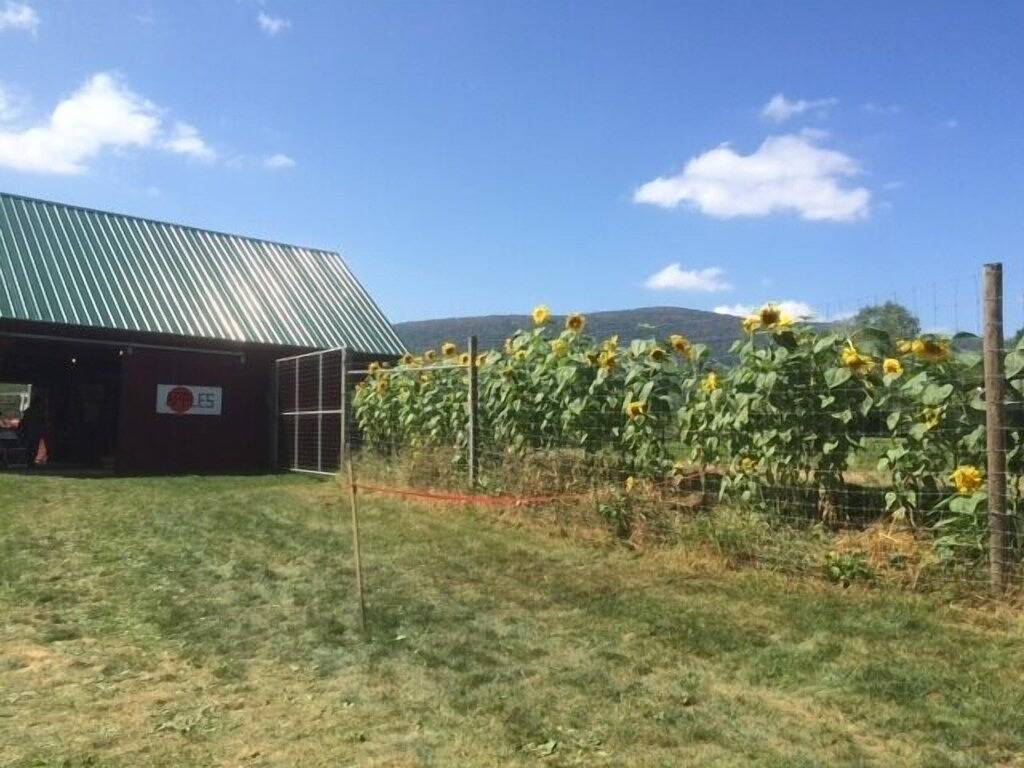 Bromley, Stratton, Okemo Ländliche Umgebung im Guest House in Southern Vt Grn Mtns. in Rutland County