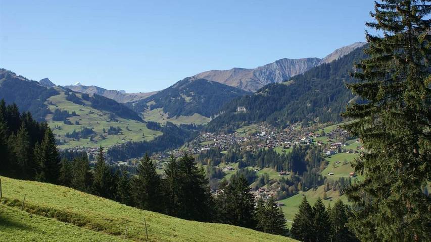 Ferienhaus für 8 Personen, mit Terrasse, mit Haustier in der Schweiz - 3