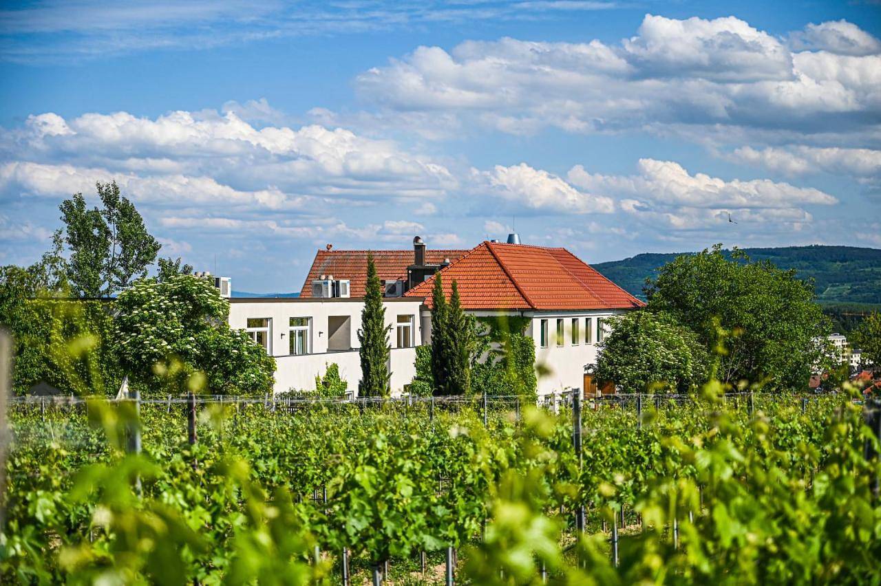 Double Room in Krems an der Donau, Donau Niederösterreich