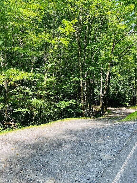 Pet-friendly, private, refuge. Monthly renters welcome. No extra fees. in Ashe County