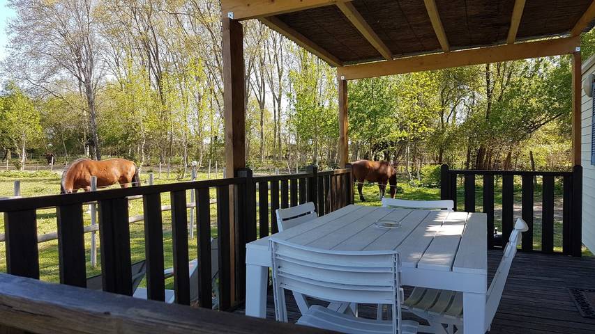 Mobil home pour 4 personnes, avec jardin et bassin pour enfant à Le Cailar - 2