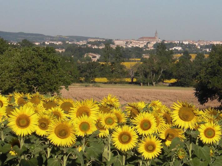 Location de vacances pour 2 personnes, avec jardin et vue à Saint-Martin-Lalande - 2