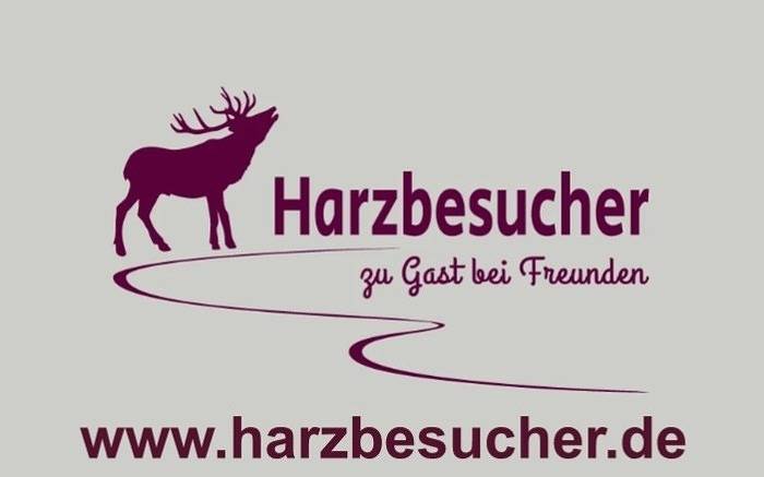 Ferienhaus für 9 Personen, mit Terrasse und Garten im Harz - 2
