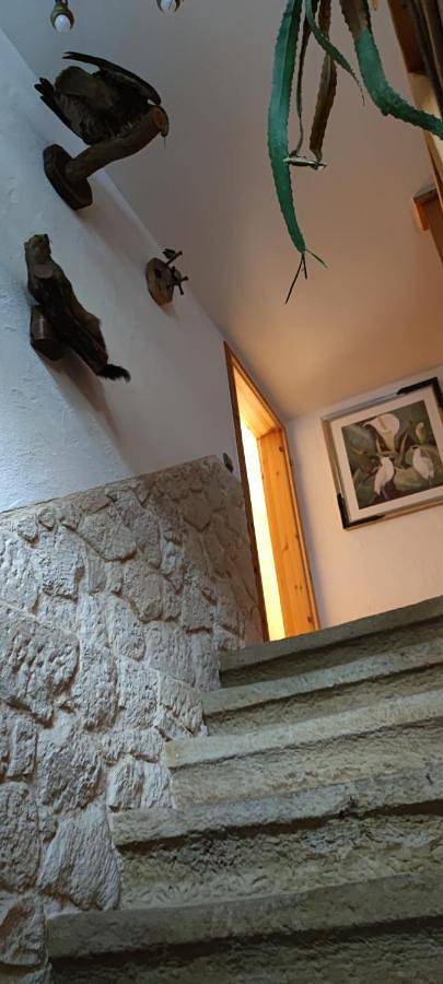 Ferienwohnung für 4 Personen, mit Garten und Ausblick in Bannewitz - 4