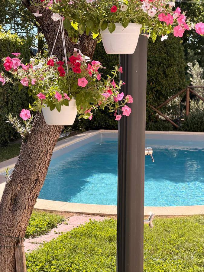 Hôtel pour 4 personnes, avec piscine ainsi que jardin et terrasse à Trevi - 2