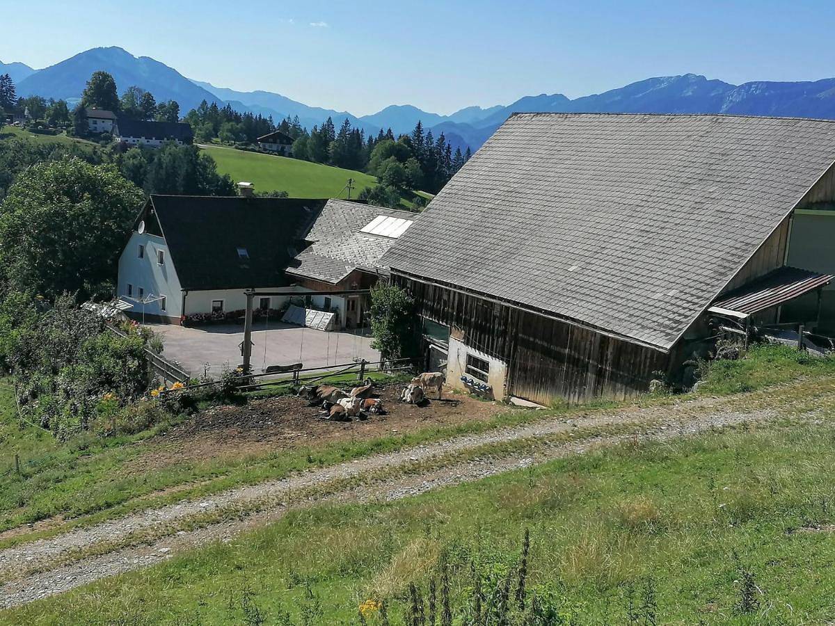 Ganze Wohnung, Familienbauernhof Imitz, Ferienwohnung in Spital am Pyhrn, Kirchdorf an der Krems (Bezirk)