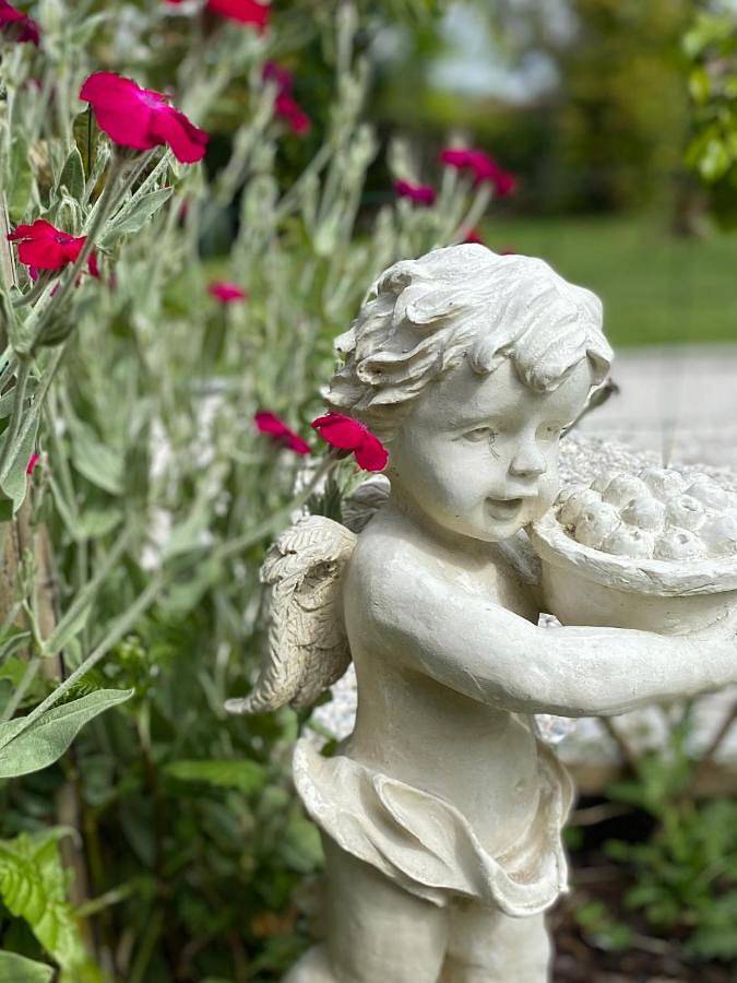 Location de vacances pour 4 personnes, avec jardin à Saint-Yzans-de-Médoc - 4