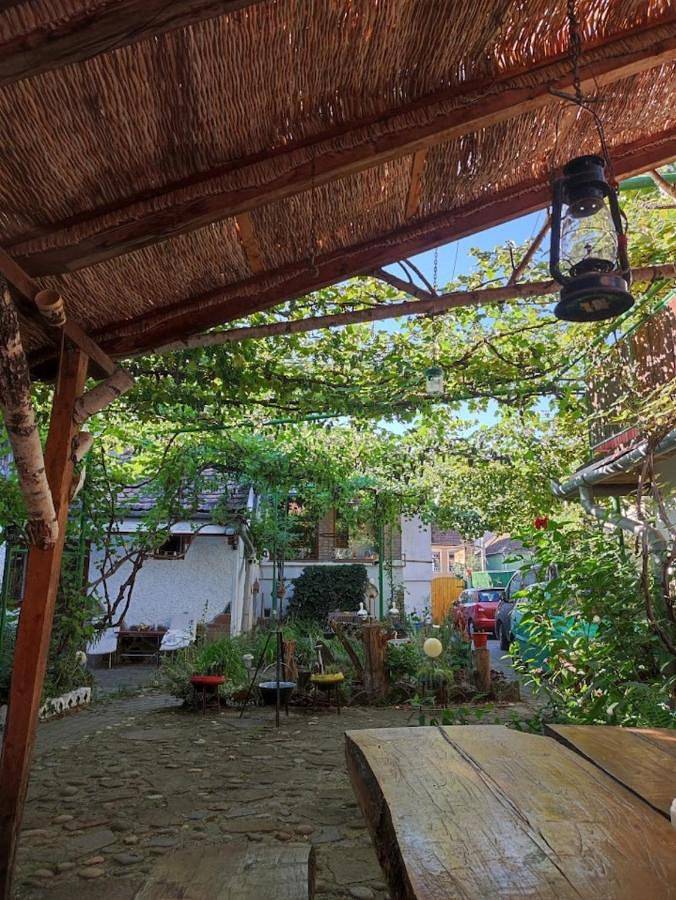 Maison d’hôte pour 2 personnes, avec jardin, animaux acceptés dans Mureș - 2