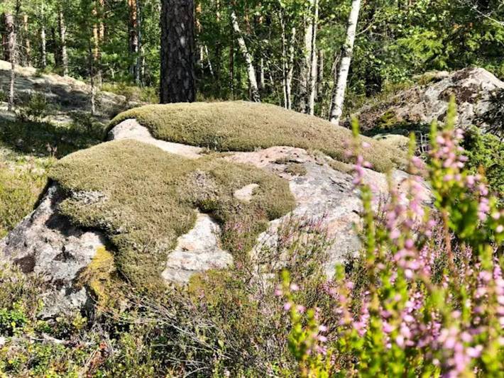 Ferienhaus für 3 Personen, mit Garten, kinderfreundlich in Södermanland - 4