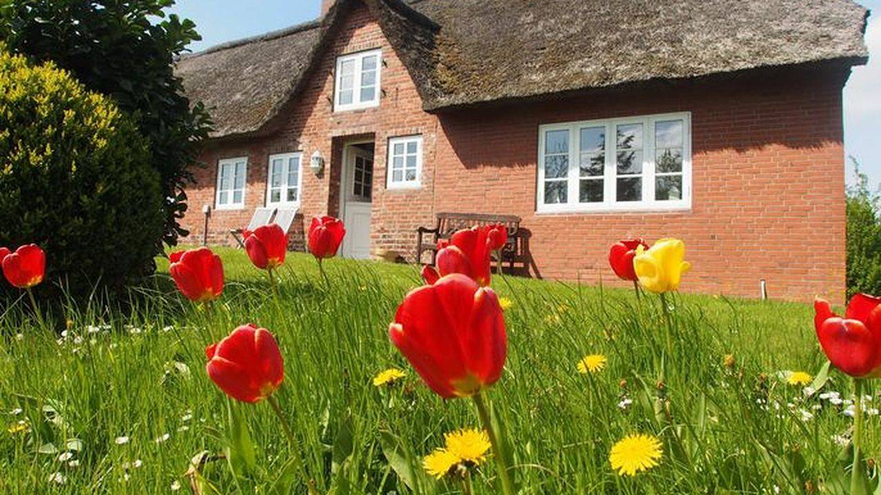 Ferienhaus für 8 Personen (140 m²) in Ockholm in Ockholm, Nordfriesland