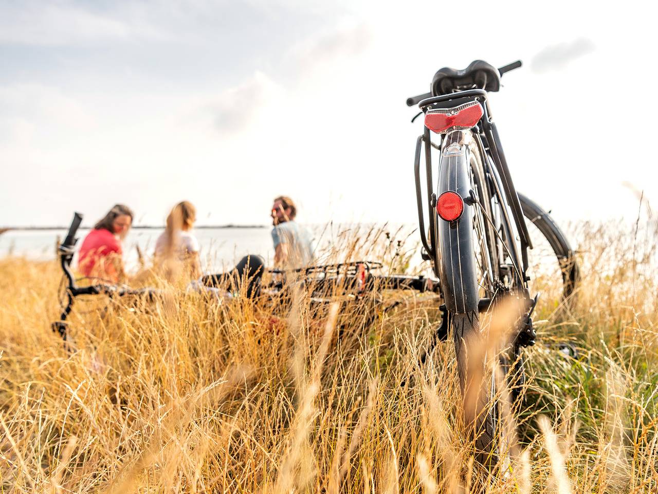 Nurdachhaus in Damp an der Ostsee in Ostseebad Damp, Damp