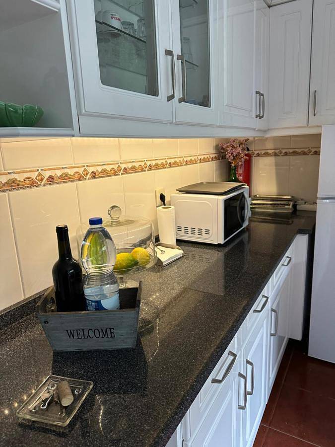 Gîte pour 6 personnes, avec jardin et vue à Peso da Régua - 4