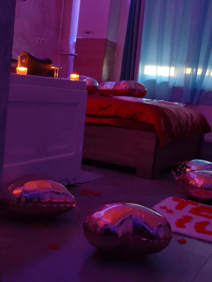 Gîte pour 2 personnes, avec jacuzzi dans Baia Mare - 4