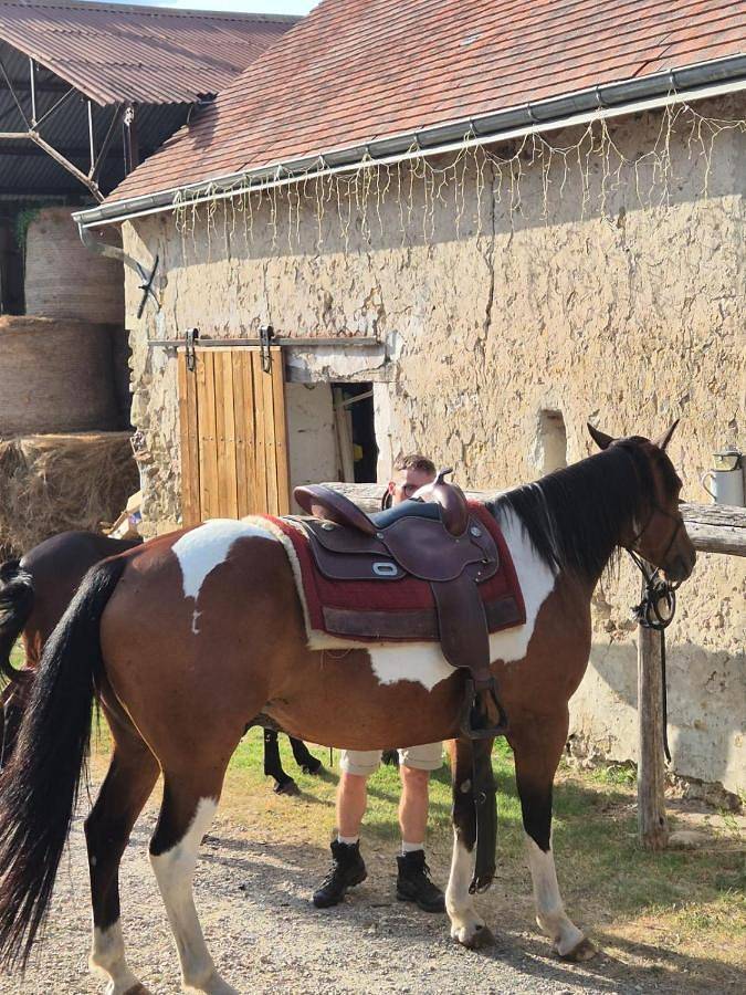 Location de vacances pour 2 personnes, avec Terrasse et Jardin à Continvoir - 2