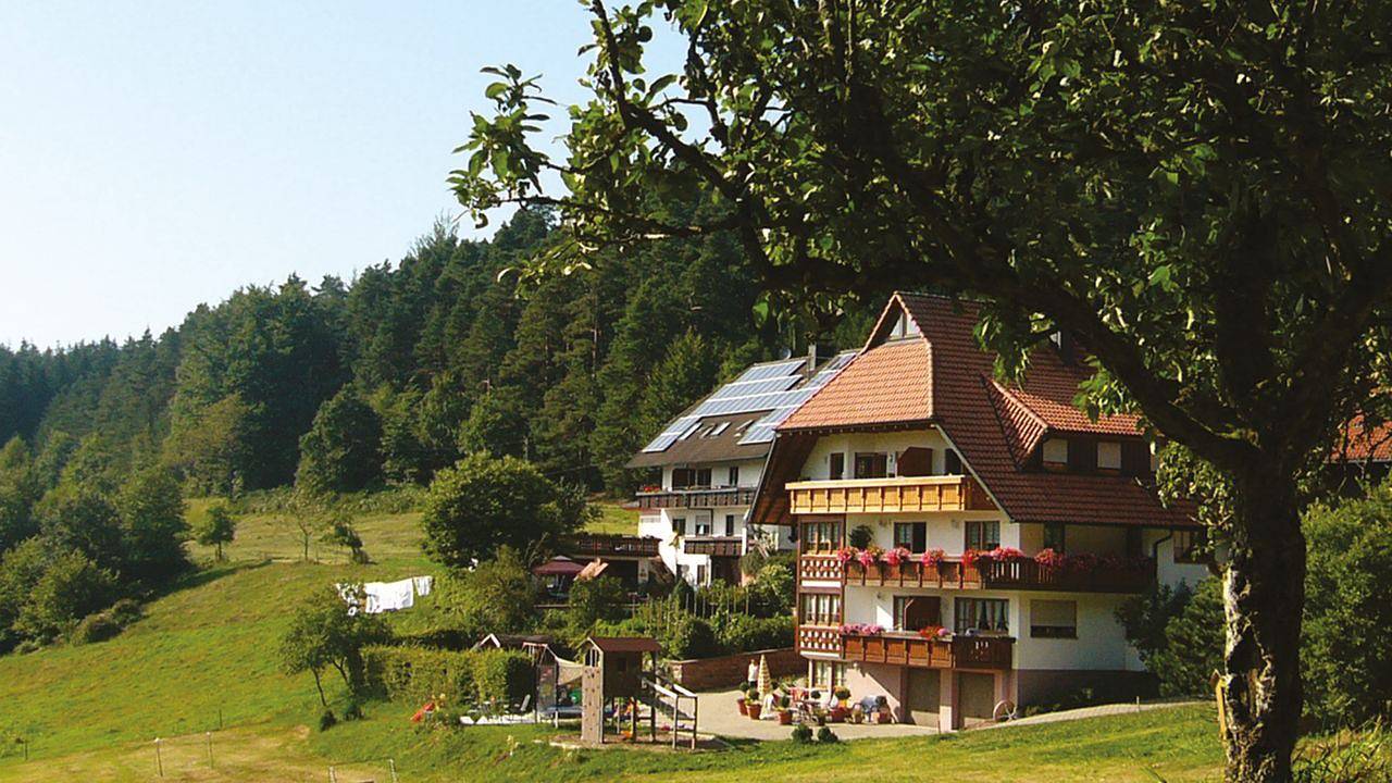 Ferienhaus für 4 Personen (55 m²) in Elzach in Elzach, Mittlerer Schwarzwald