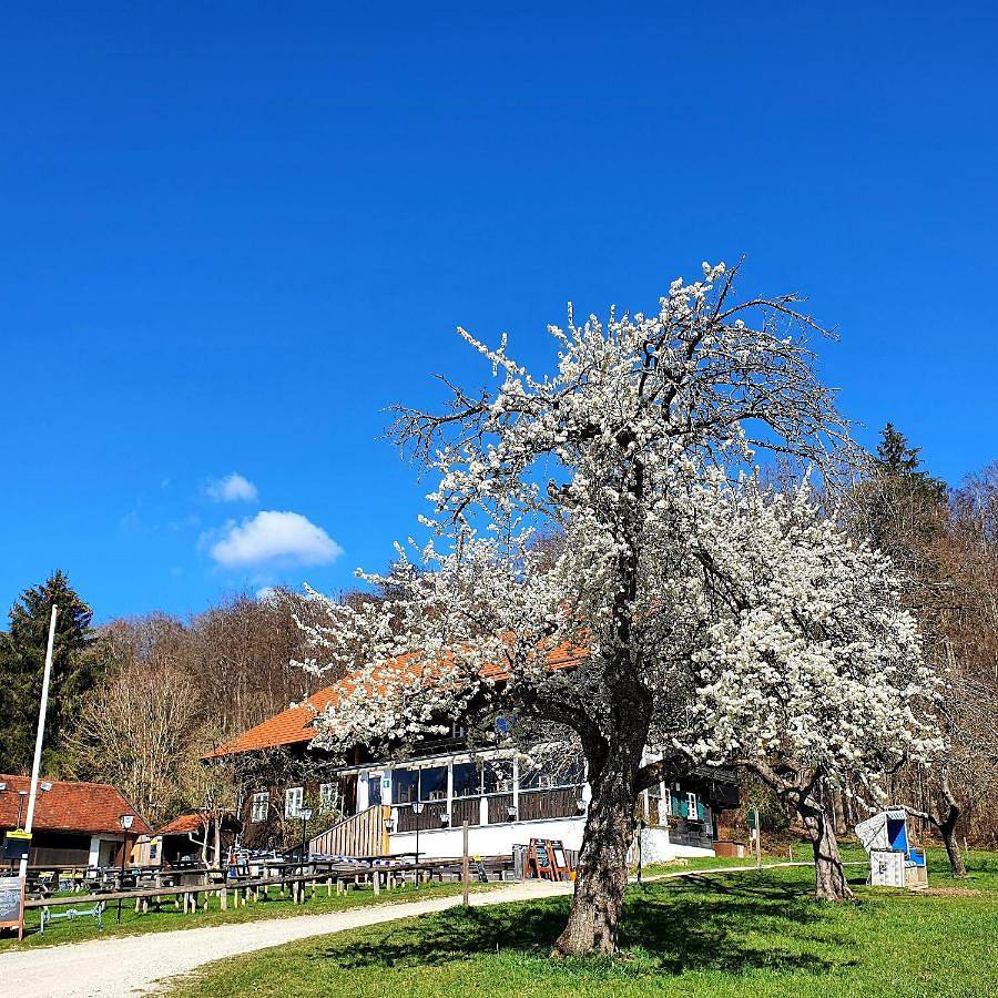 Schatzbergalm Pension in Dießen am Ammersee, Lac Ammer
