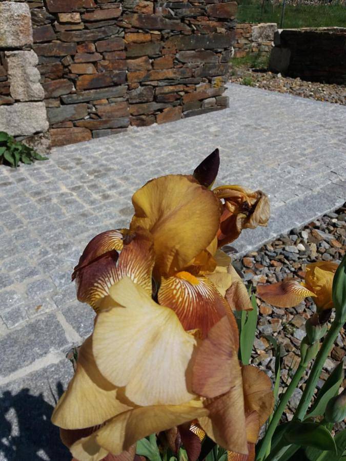 Location de vacances pour 6 personnes, avec piscine ainsi que jardin et vue, animaux acceptés dans Tondela - 4